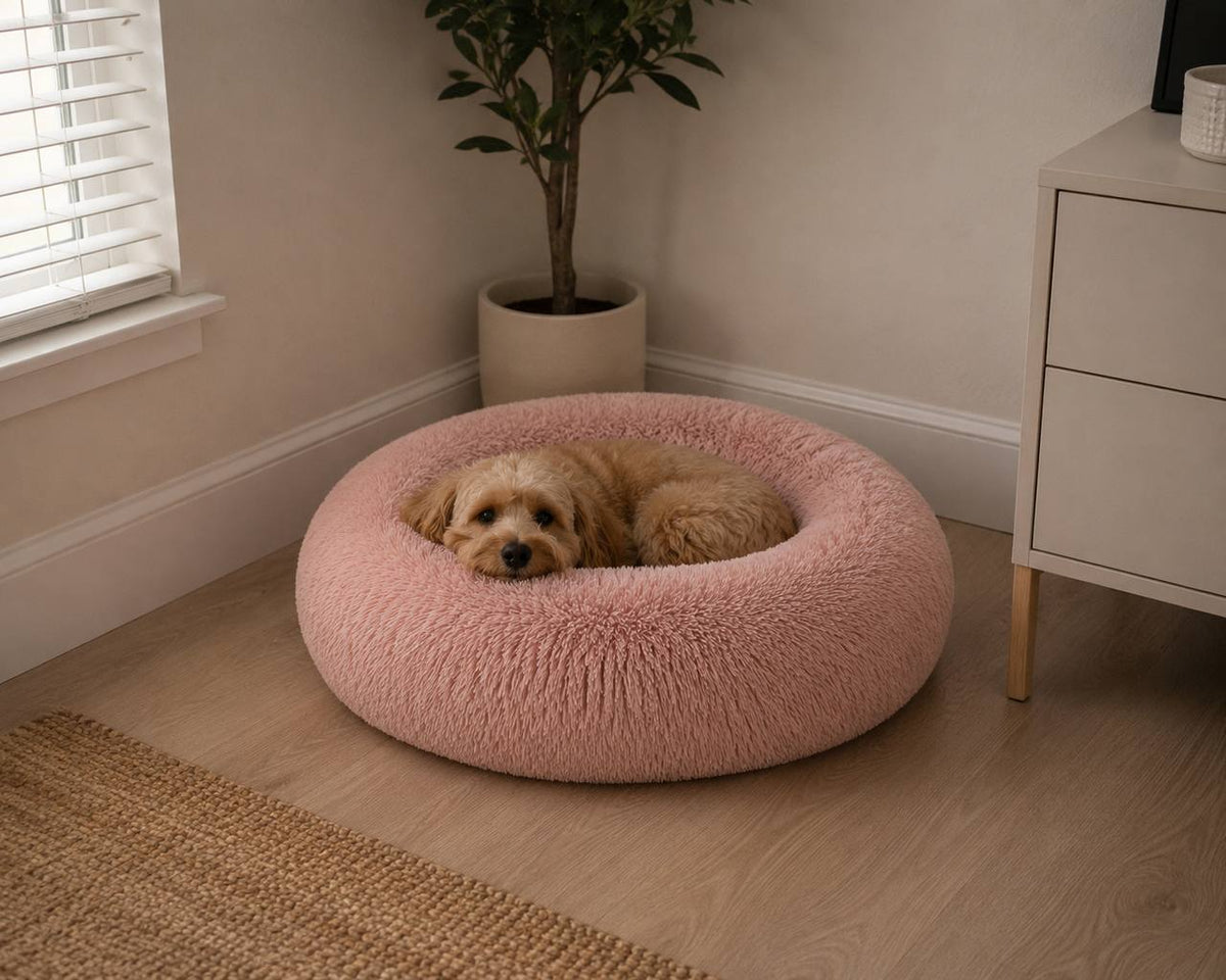 Small dog resting in a pink Pawro Calming Donut Bed beside a houseplant